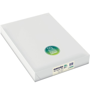 Recyclingpapier Evercolor 30259C chamois A3 80g
