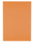 Recyclingpapier evercolor 40015C lachs A4 80g