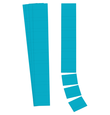 Einsteckkarten 140707 Planrecord, 70x32mm, blau, 190g