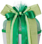 Schult&uuml;tenschleife 679264, gr&uuml;n/naturfarben, 6-eckig