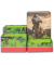 Stifteköcher Set, Pappe, faltbar, Tyrannosaurus, grün
