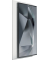 Schutzglas Clear Protect Samsung Galaxy S24Ultra