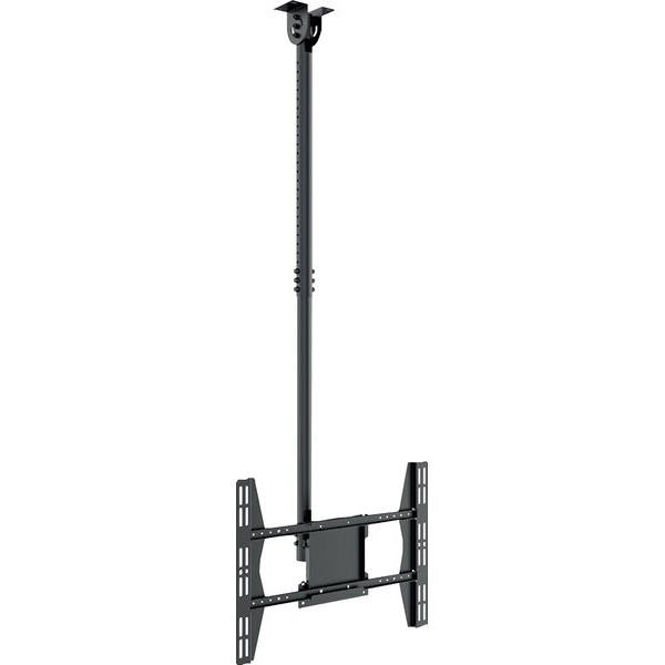 4250058586025 - HAGOR PLD series Large Single - Befestigungskit (Deckenmontage) - fÃ¼r LCD-Display - Schwarz - BildschirmgrÃ¶Ãe 124-165 cm (49-65) - Montageschnittstelle bis zu 600 x 400 mm