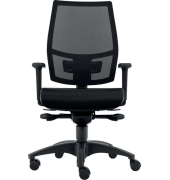 Bürodrehstuhl Ergo Mesh, Nutzergewicht bis 100 kg, mit 2D-Armlehnen, Rückenlehne netzbespannt, DIN-Komfort-Sitz, Teppichbodenrollen, schwarz