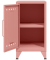 Stahlschrank Fern Mini FERMINLH620, pastelpink, 30x72,5x40cm (BxHxT)