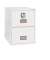 H&auml;ngeregistraturschrank FS2252E World Class Vertical Fire File, wei&szlig;, 2 Schubladen, 1-bahnig