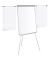 Flipchart, EA2306046, 70x100cm (BxH), grau, mit Beinen, mit 2 Seitenarmen