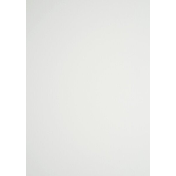 9009420004637 - Rückwände DIN A4 Classic matt 300gqm Karton weiß 9009420004637 100 Stück