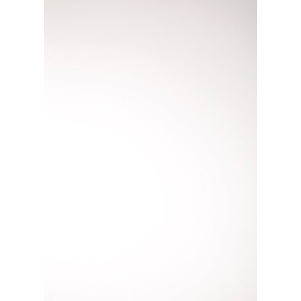 9009420004644 - Rückwände DIN A4 Chromo glossy 250gqm Karton weiß 9009420004644 100 Stück