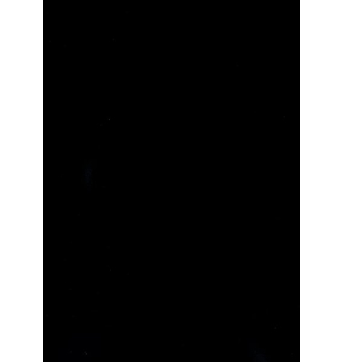 Rückwände, DIN A4, Chromo glossy, schwarz, 250gqm Karton