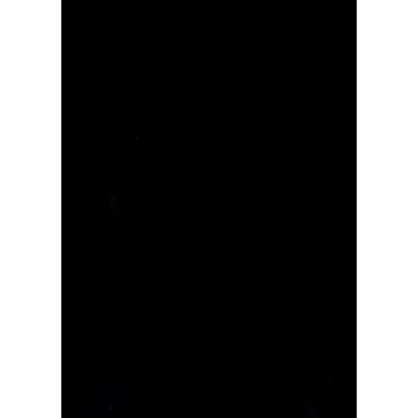 RECOsystems Rückwände, DIN A4, Chromo glossy, schwarz, 250g/qm Karton 9009420004781 RECOsystems