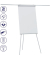 Flipchart ECO, F2100/N, 68x70cm (BxH), hellgrau, ohne Rollen, mit 2 Seitenarmen