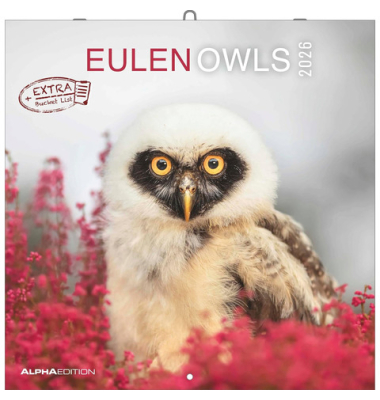 Bildkalender 2026 Eulen