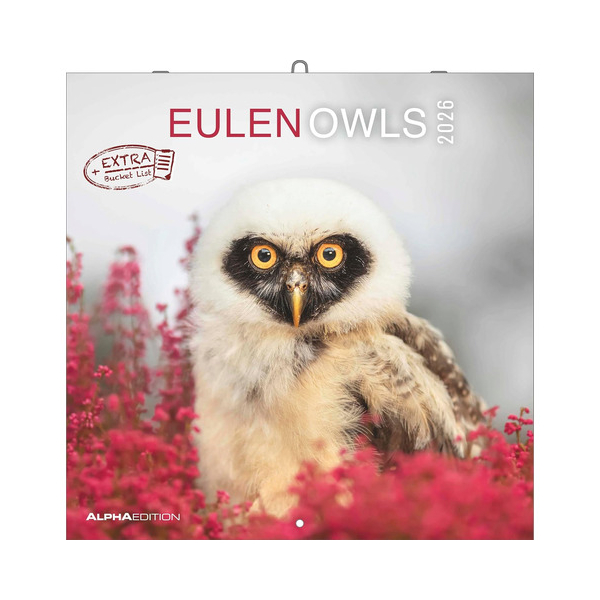 ALPHA EDITION Wandkalender 160188,  4069095010604 ALPHA EDITION