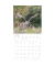 Bildkalender 2026 Eulen