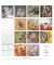 Wandkalender 160188, Eulen, 1 Monat / 1 Seite, 30x60cm, 2027