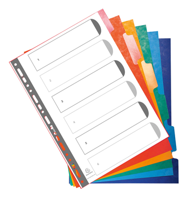 Register Exacompta 2206E, blanko, A4, aus Karton, 6 Blatt, farbig
