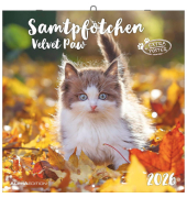 Bildkalender 2026 Samtpfötchen