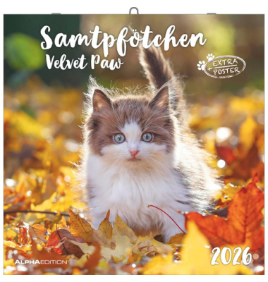 Bildkalender 2026 Samtpfötchen