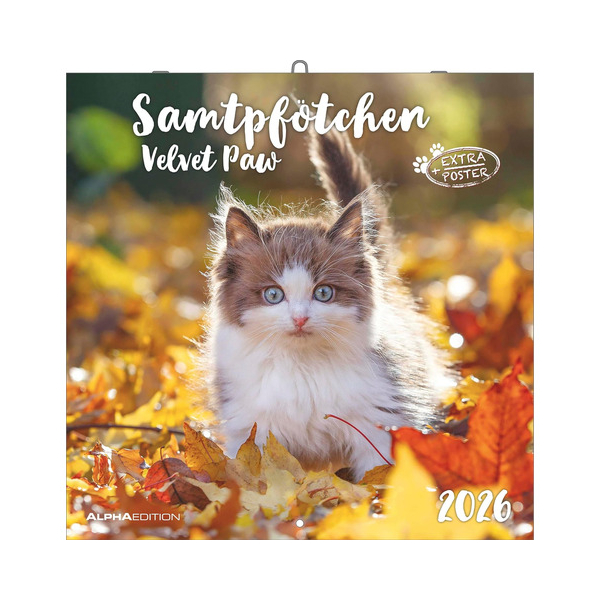 Zettler Wandkalender 160299,  4069095010574 Zettler