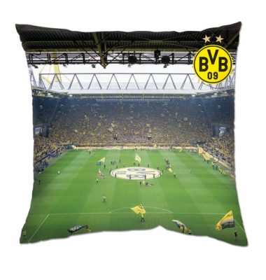 Kissen Südtribüne 40x40cm