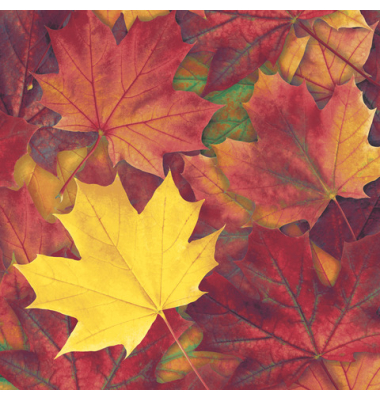 Motivserviette 33x33cm Herbst