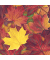 Motivserviette 33x33cm Herbst