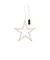 Weihn.Deko Stern LED Eisen champagner