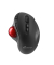 Trackball Funkmaus kabellos Ergo USB-C