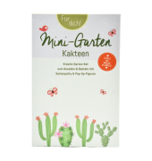 Mini-Garten Kakteen