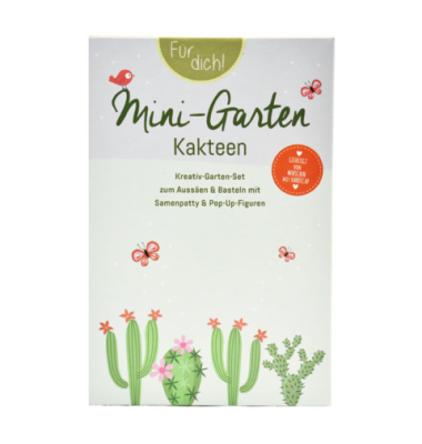Mini-Garten Kakteen