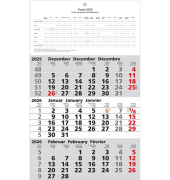 3-Monats-Wandkalender, 3 Monate1 Seite, 30 x 49 cm, Datumsschieber rot, Druck: schwarzrot