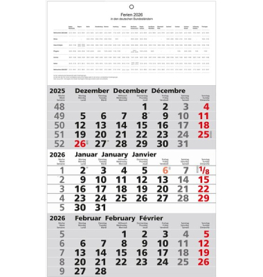 3-Monats-Wandkalender, 3 Monate1 Seite, 30 x 49 cm, Datumsschieber rot, Druck: schwarzrot