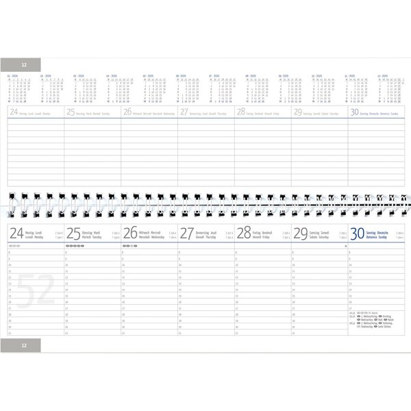 4021819598003 -  Querkalender 59800 298x13cm (HxB) 4021819598003 GÜSS Kalender
