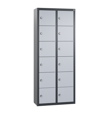 Spind 12F&auml;cher 113x46x20cm analu