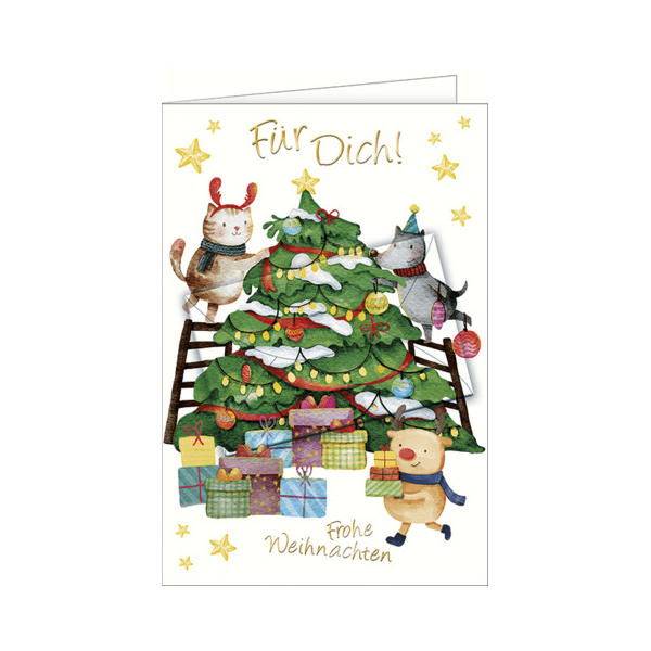 5 Stück Alpedia Weihnachtsgeldscheinkarte 9004546577126 Alpedia