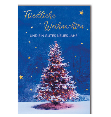 D.T.Weihnachtskarten