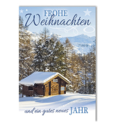 D.T.Weihnachtskarten