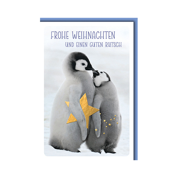 6 Stück Braun und Company D.T.Weihnachtskarten 4014995428813 Braun und Company