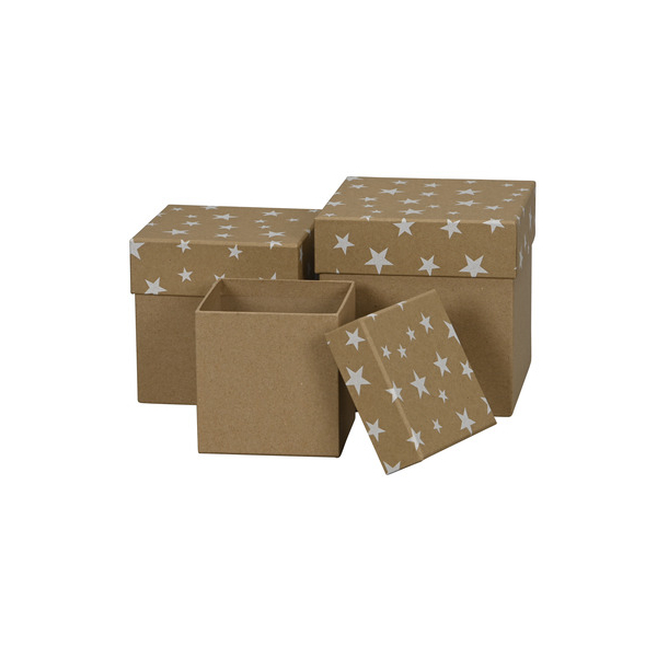 4060706234884 - WeihnGeschenkkarton Sterne ws-natur 4060706234884 Alpedia