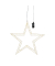 Weihn.Deko Stern LED Eisen champagner