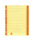 Trennbl&auml;tter 9541106100 A4 chamois/orange 230g 