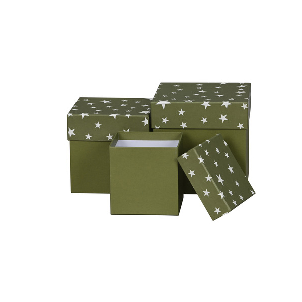 4060706235065 - WeihnGeschenkkarton Sterne gn-weiß 4060706235065 Alpedia 4060706235065 - WeihnGeschenkkarton Sterne gn-weiß 4060706235065 Alpedia