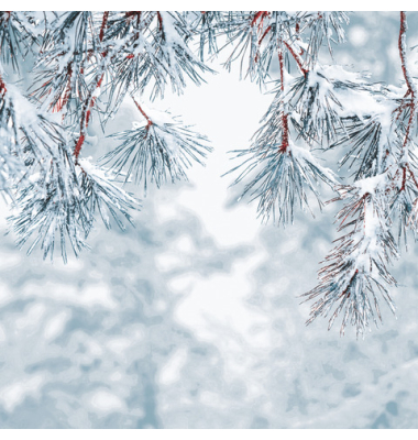 Weihn.Zelltuchserviette 33x33cm