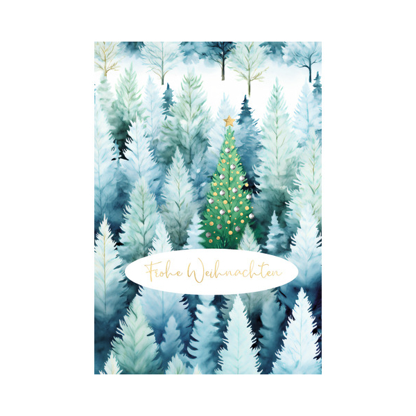 6 Stück Alpedia Weihnachtskarte 9004546573128 Head