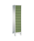 Spind Evolo48 Steckplatz 185x42x50cm lgr/resedagn
