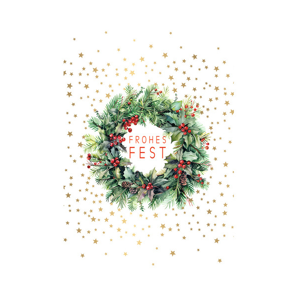 6 Stück Alpedia Weihnachtsgeldscheinkarte 9004546572985 Head
