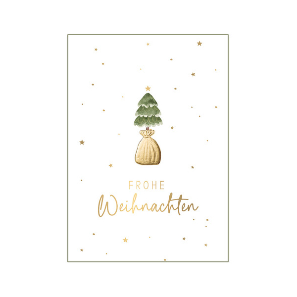 6 Stück Alpedia Weihnachtsgeldscheinkarte 9004546573012 Head