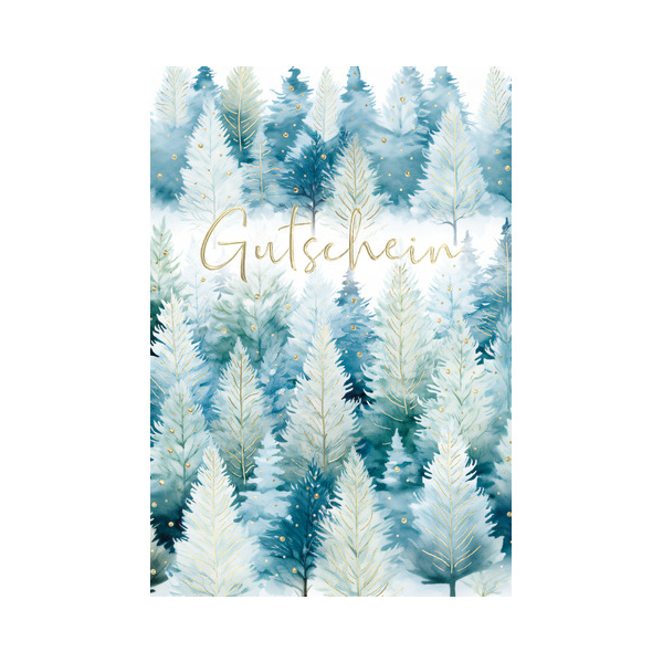 6 Stück Alpedia Weihnachtsgutscheinkarte 9004546573135 Head