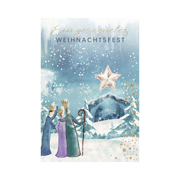 6 Stück Alpedia Weihnachtskarte heilig 9004546573296 Head